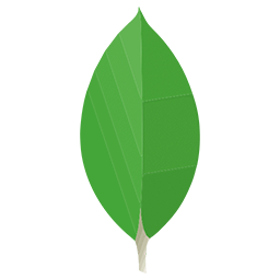 MongoDB